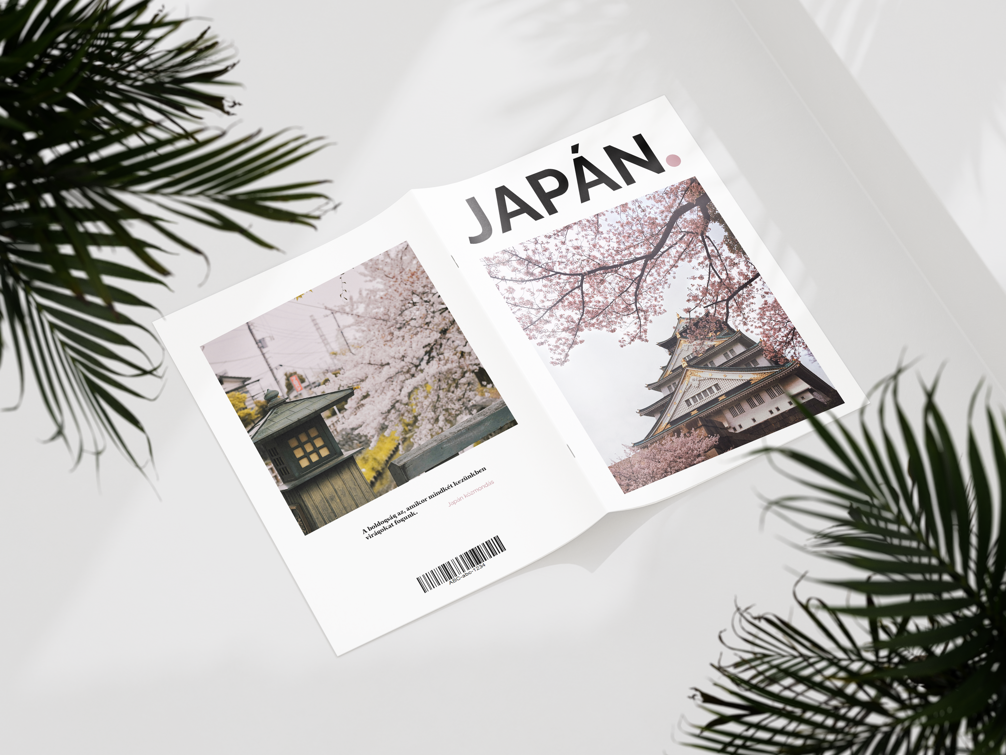 Japan magazine 1